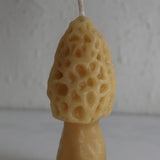 Morel Mushroom Beeswax Candles