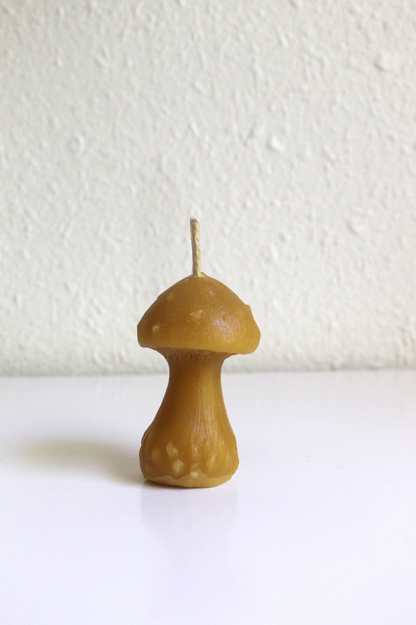 Mushroom Beeswax Candle