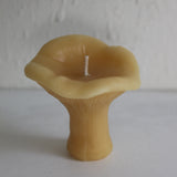 Chanterelle Mushroom Beeswax Candles