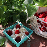Strawberries Beeswax Candles
