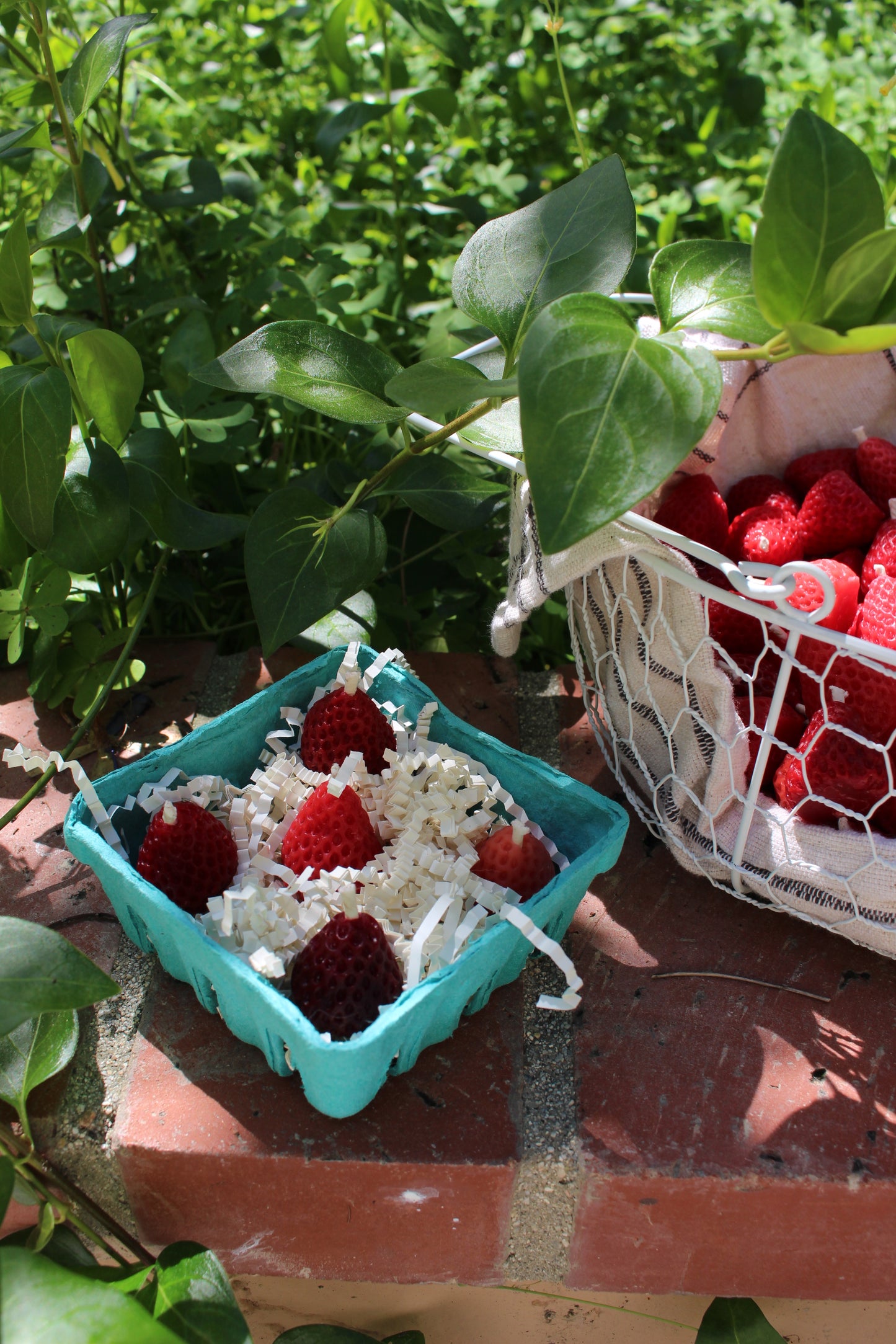 Strawberries Beeswax Candles