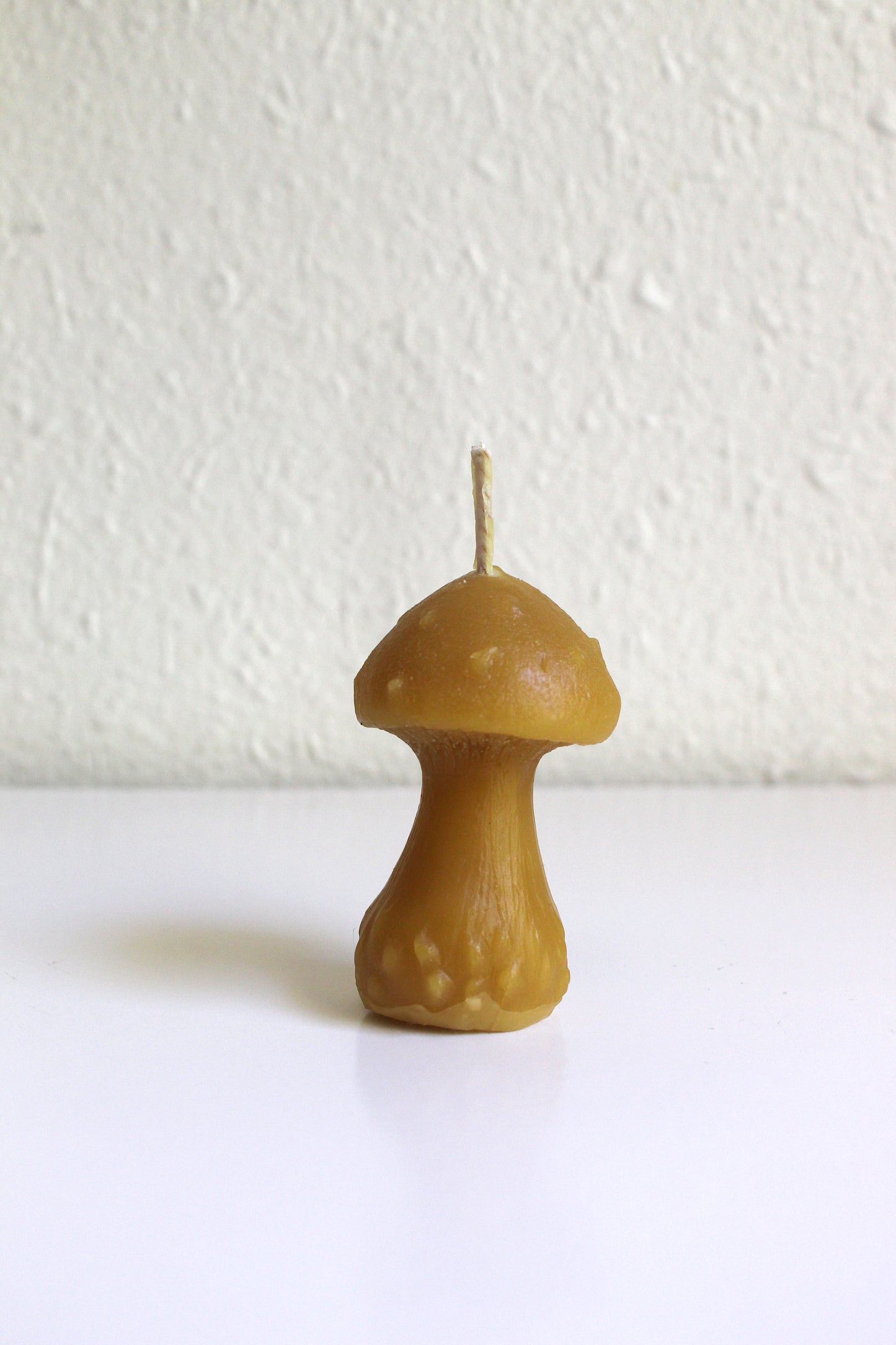 Mushroom Beeswax Candle