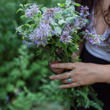 Beebalm Hydrosol Mist