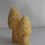 Morel Mushroom Beeswax Candles