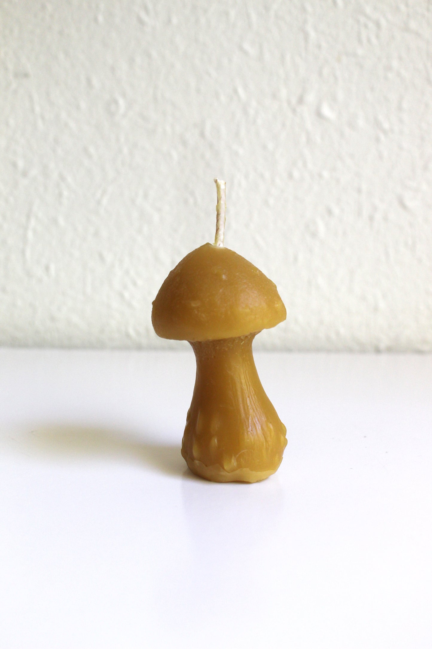 Mushroom Beeswax Candle