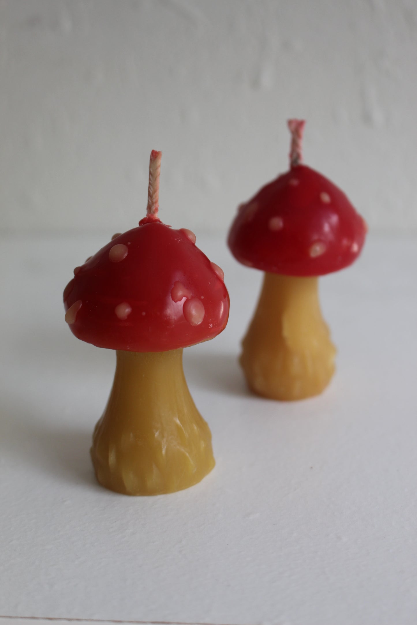 Mushroom Beeswax Candle