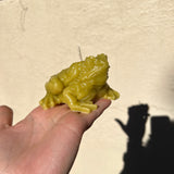 Frog Mystery Candle