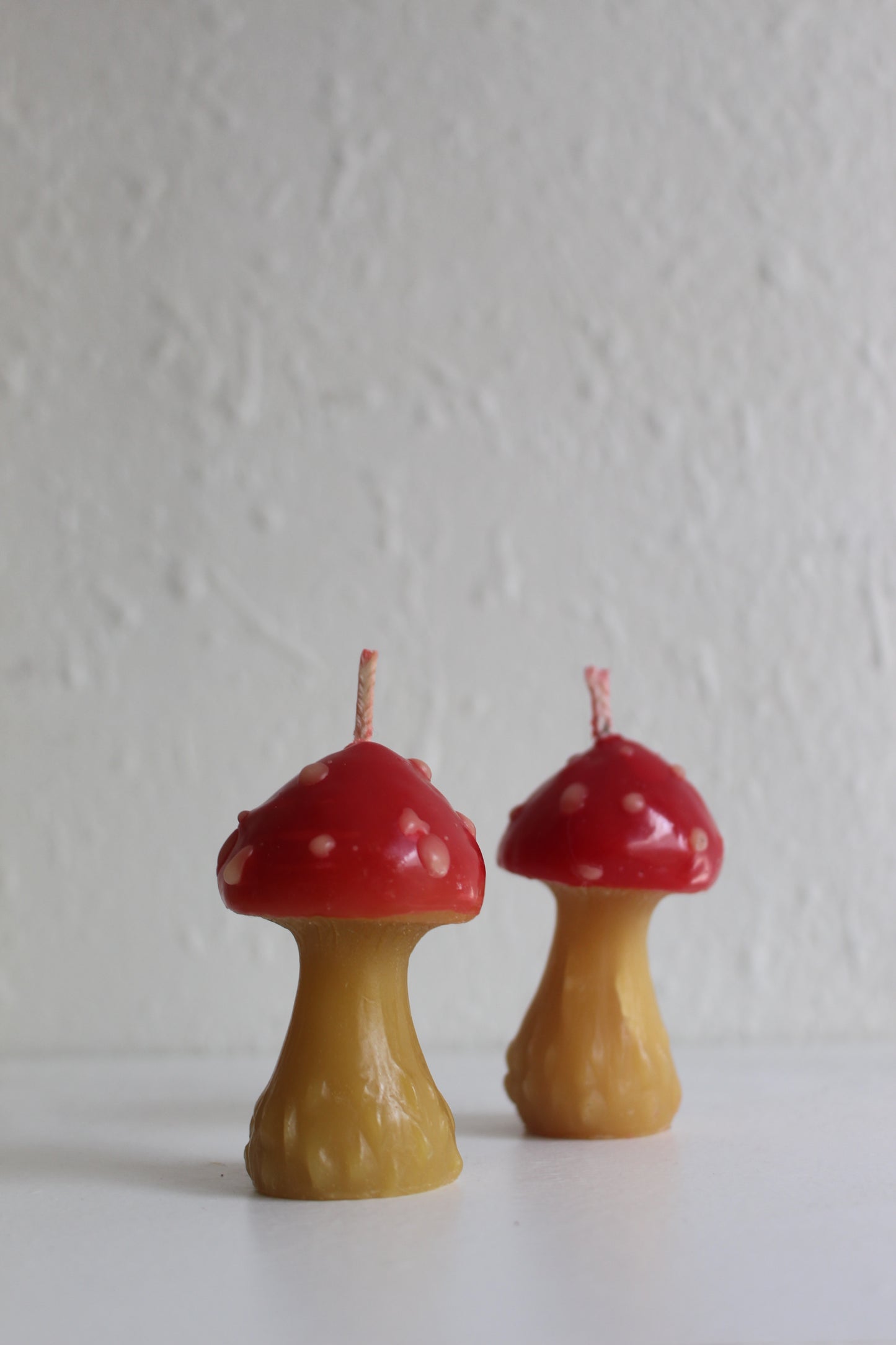 Mushroom Beeswax Candle