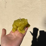 Frog Mystery Candle