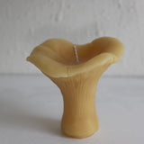 Chanterelle Mushroom Beeswax Candles