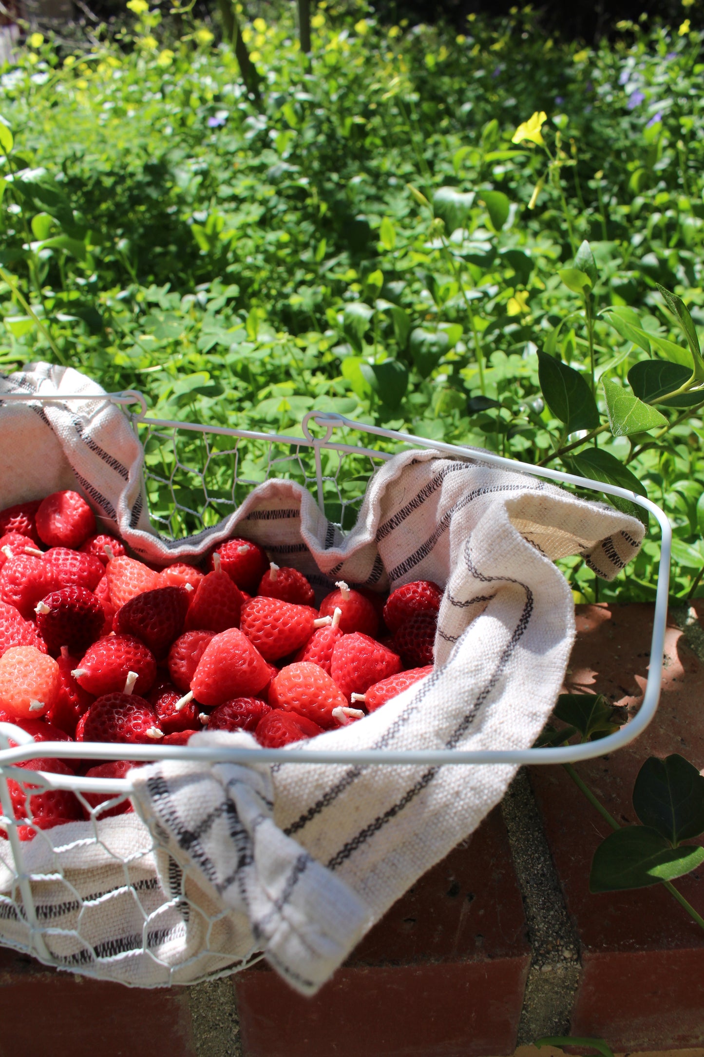 Strawberries Beeswax Candles