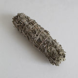 Miniature Common Sage Bundle