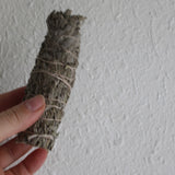 Miniature Common Sage Bundle