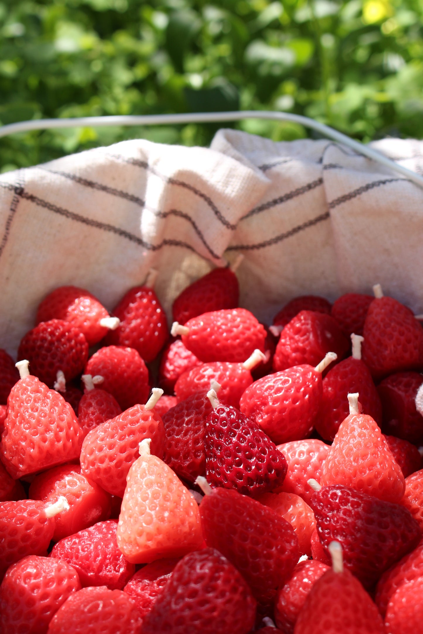 Strawberries Beeswax Candles