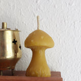 Mushroom Beeswax Candle