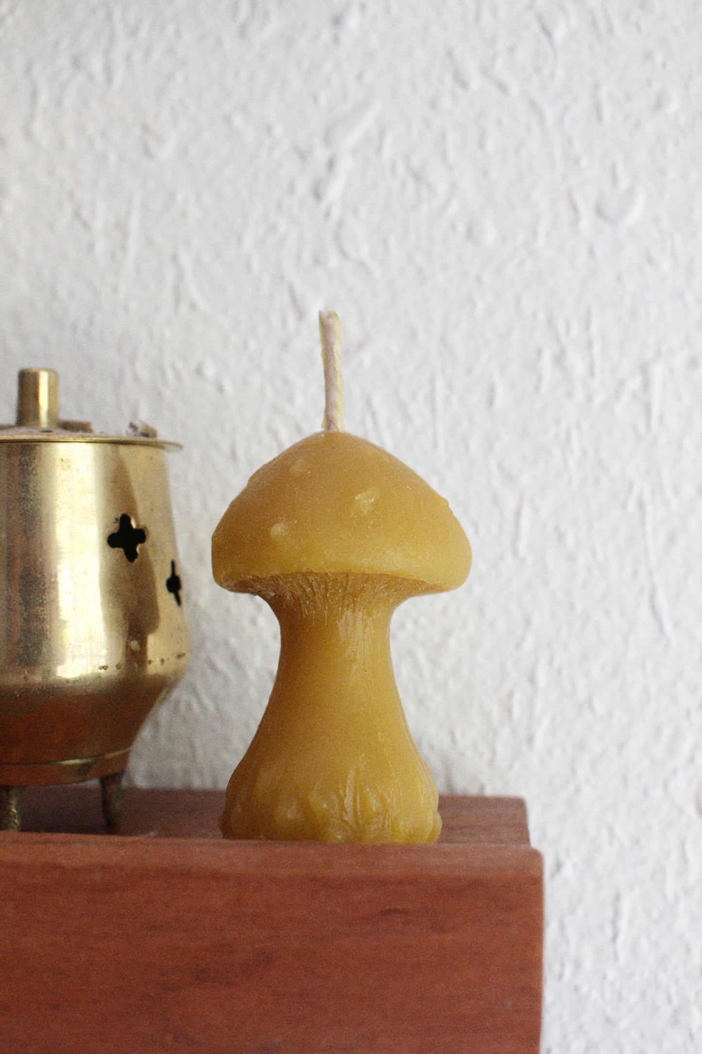 Mushroom Beeswax Candle