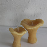 Chanterelle Mushroom Beeswax Candles