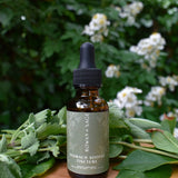 Stomach Soother Tincture