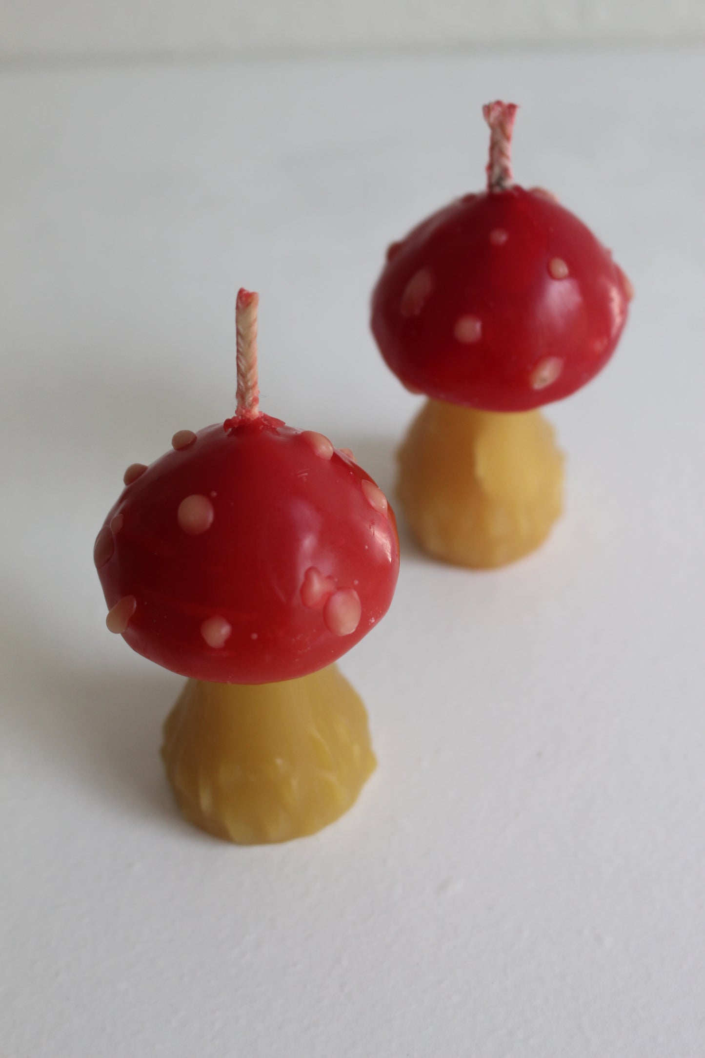 Mushroom Beeswax Candle