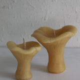 Chanterelle Mushroom Beeswax Candles