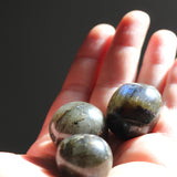 Labradorite Tumbled Stones