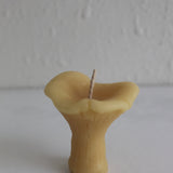 Chanterelle Mushroom Beeswax Candles