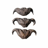 Devil Pods