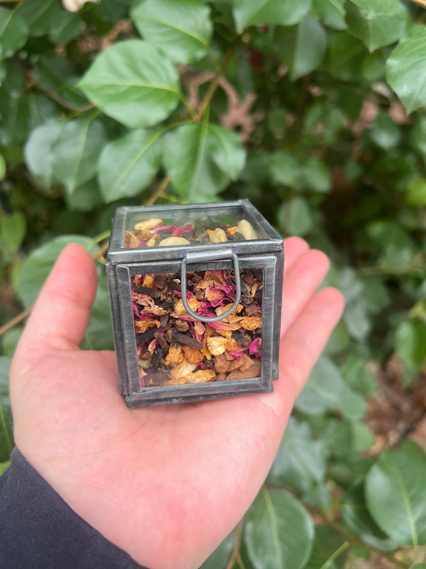 Glass Terrarium Classic Besamim