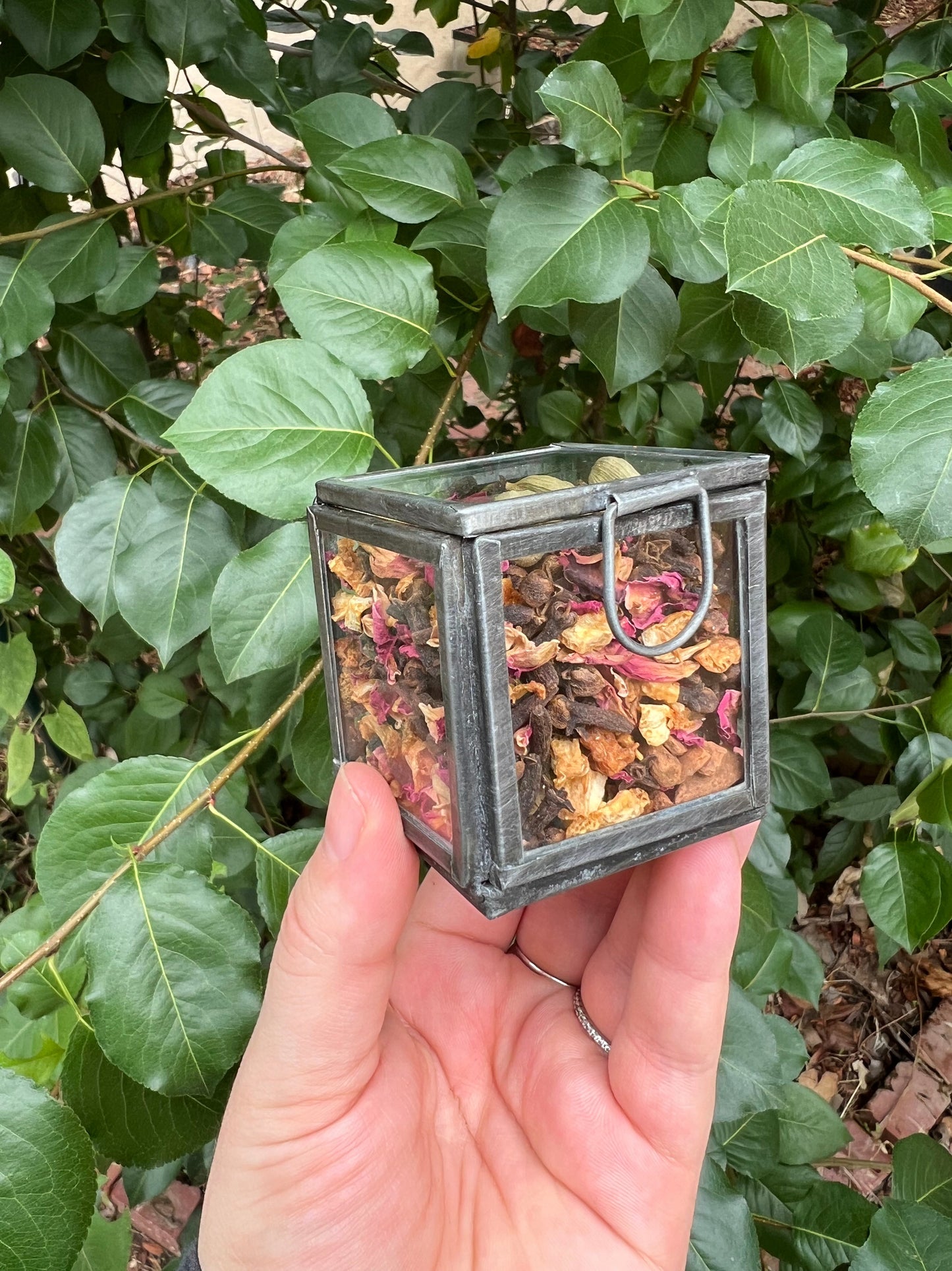 Glass Terrarium Classic Besamim