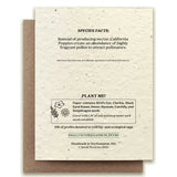 California Poppy Plantable Wildflower Seed Card