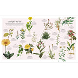 The Herb Book