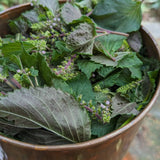 Herbary Bathing Bar - Shiso, Nettle, Rosemary, and Mint