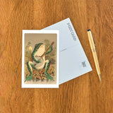 Frog Playing Banjo in Moonlight