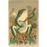 Frog Playing Banjo in Moonlight