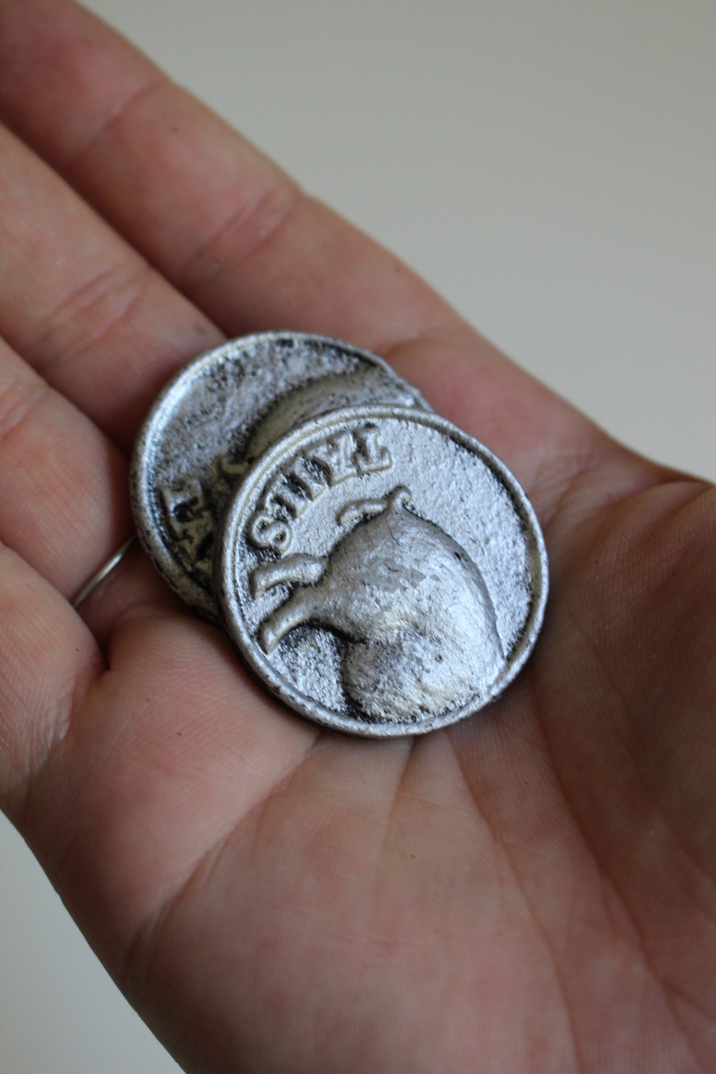 Heads or Tails Coin