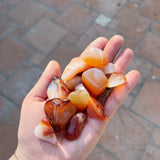 Mystery Carnelian Agate Tumbled Stones