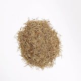 Rosemary Leaf