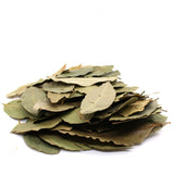 Bay Laurel