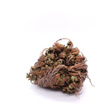 Rose of Jericho
