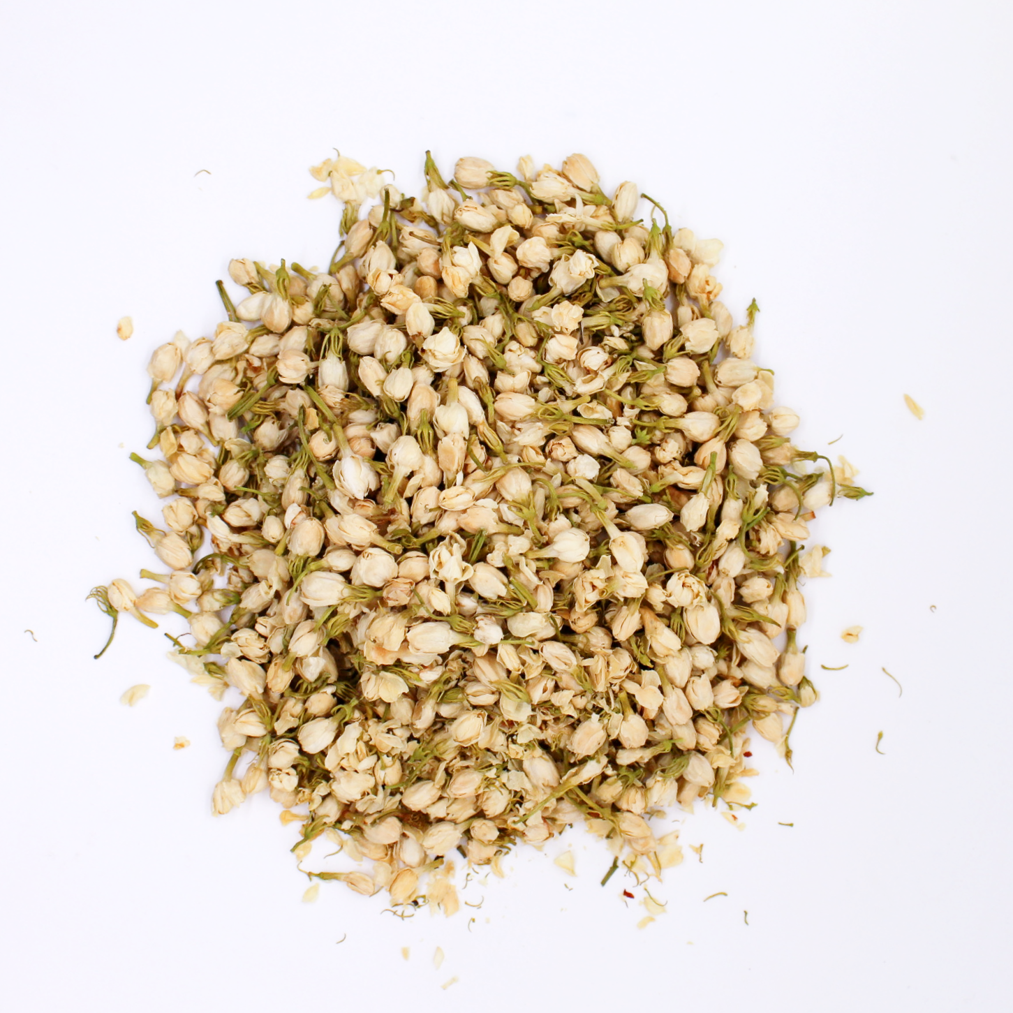 jasmine flower seeds online Jasmine Flowers – Jewitches