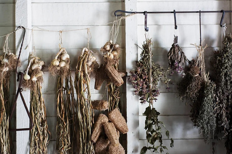 Herbs & Judaism