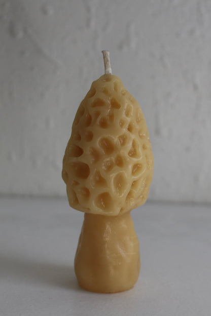 Morel Mushroom Beeswax Candles