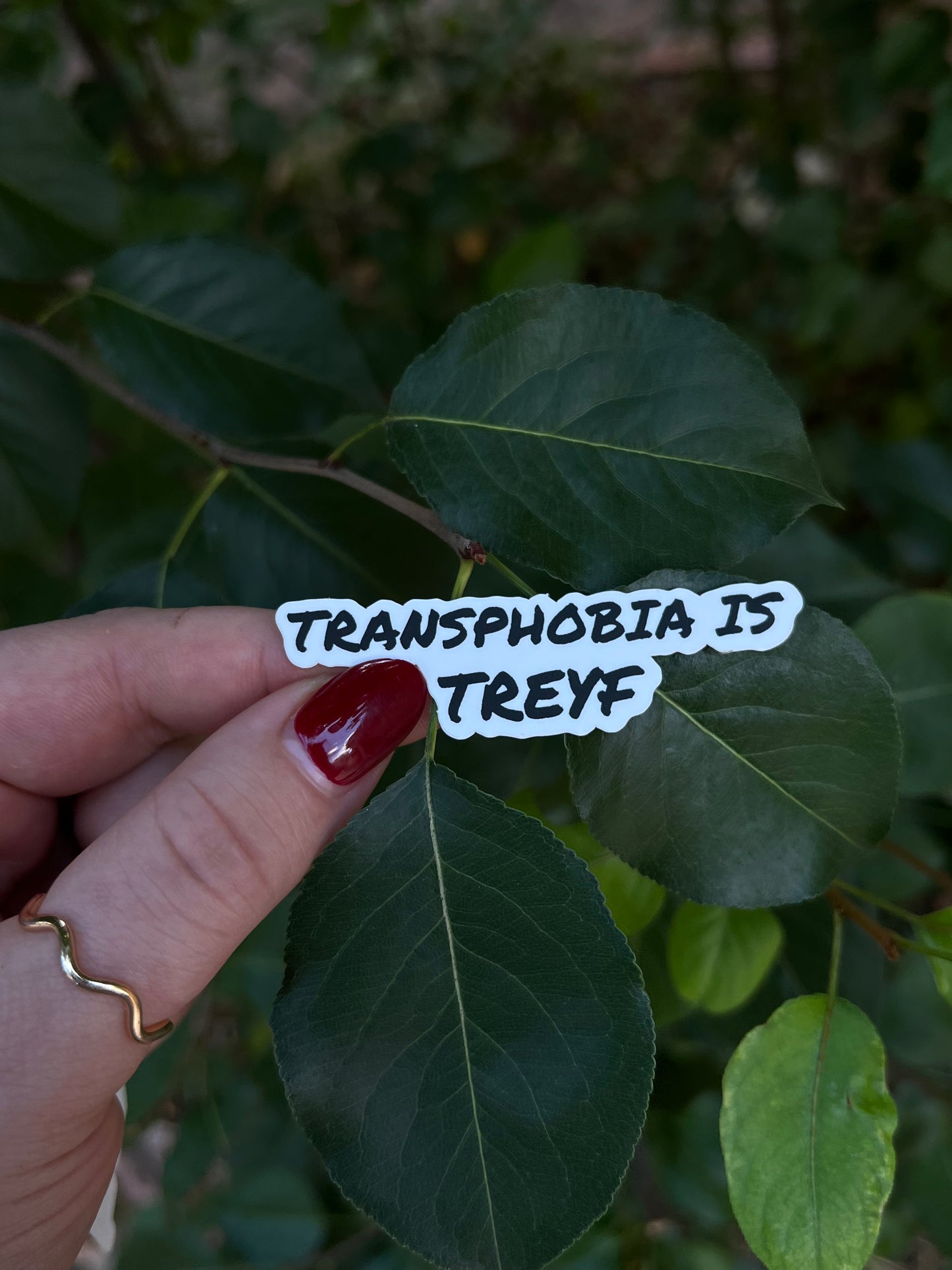 Transphobia is Treyf Soft Pride Sticker