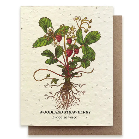 Strawberry Plantable Wildflower Seed Card