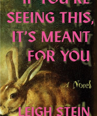 If You're Seeing This, It's Meant for You A Novel