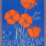 Poppies Postcard