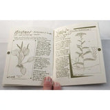 Cat’s Claw Herbal