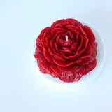 Opening Bloom Beeswax Candle