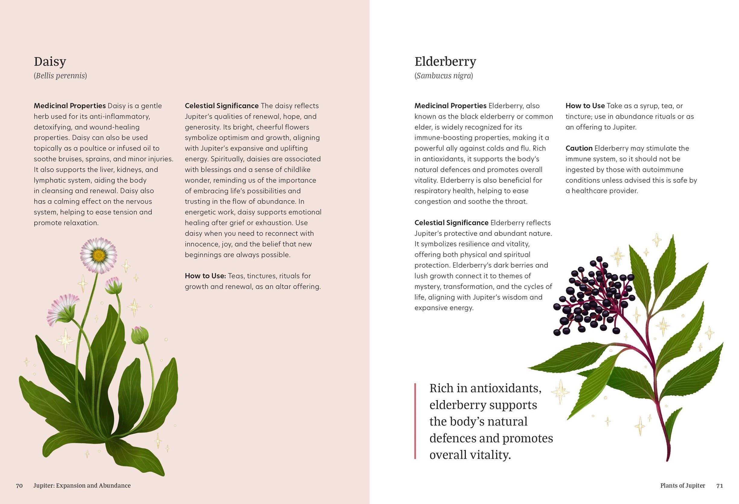 Astro Herbalism