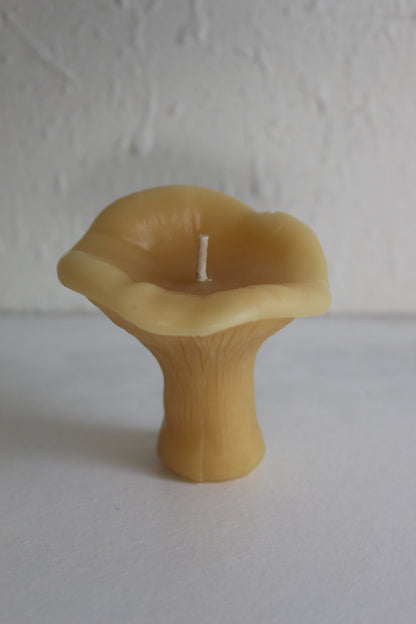 Chanterelle Mushroom Beeswax Candles